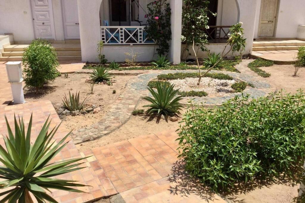 Apartmán Beyt Alzohour - Casa Dei Fiori Dahab Exteriér fotografie